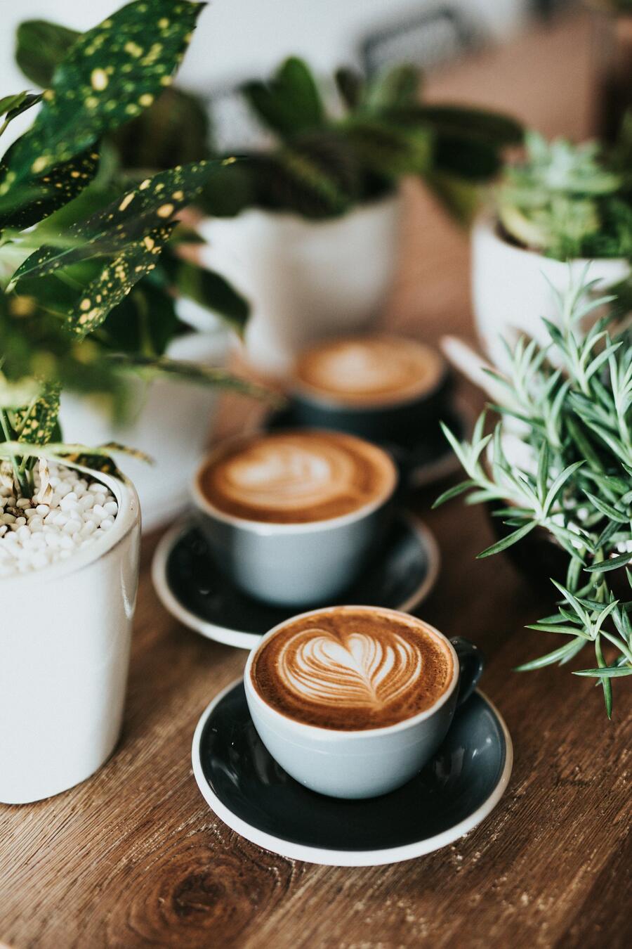 Cups of coffee on a wooden table with plants