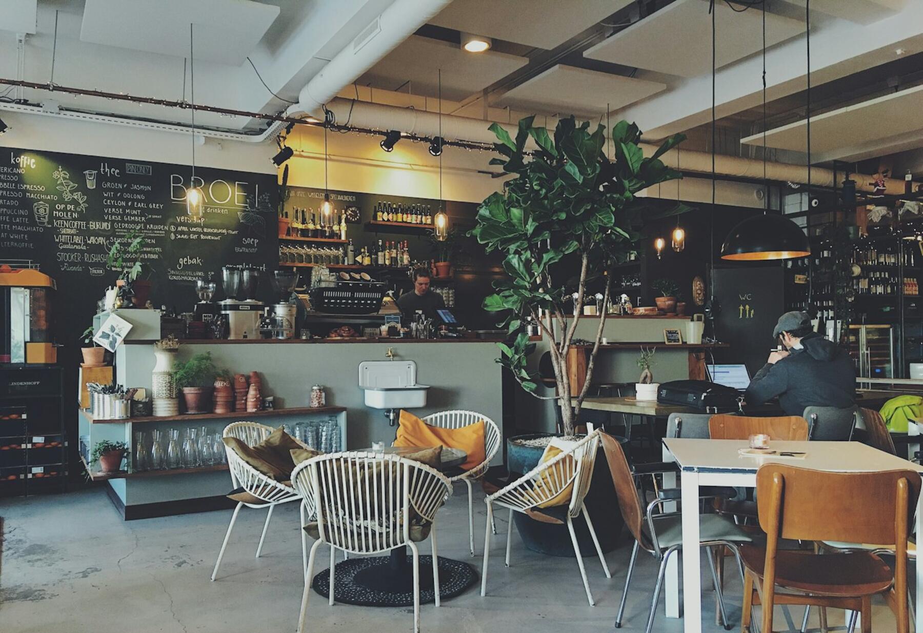 Sunlit café interior with wooden tables and hanging plants